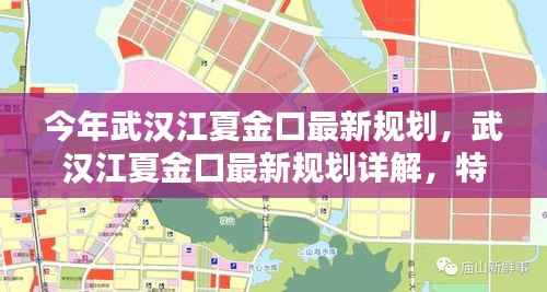 武汉江夏金口最新规划详解,特性、体验、竞品对比及用户群体分析指南