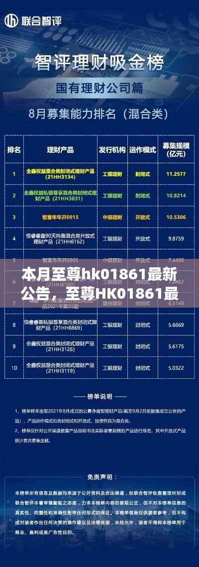 至尊HK01861最新公告揭秘,背景、重大事件与领域地位的回顾与展望