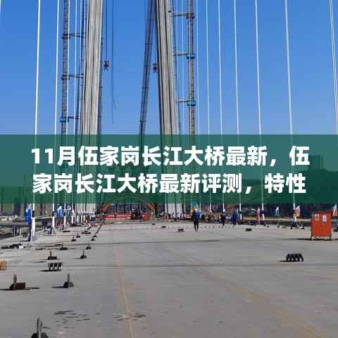 伍家岗长江大桥最新评测,特性、使用体验与目标用户分析揭秘