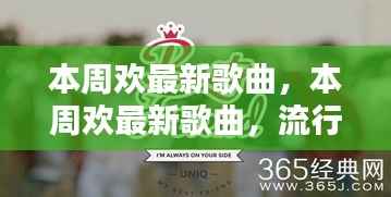 本周热门歌曲解析,流行音乐的魅力与热门单曲回顾