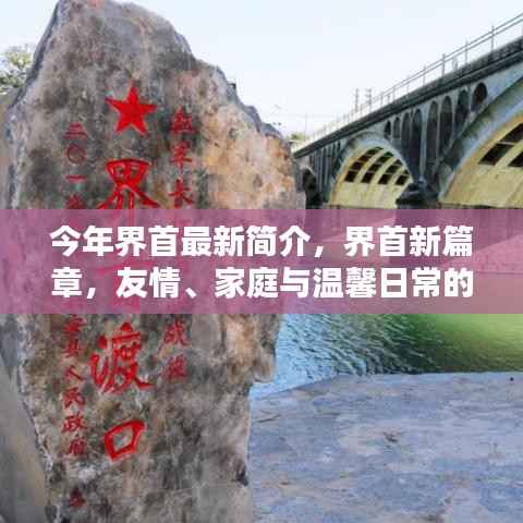 界首新篇章,友情、家庭与温馨日常的绽放简介