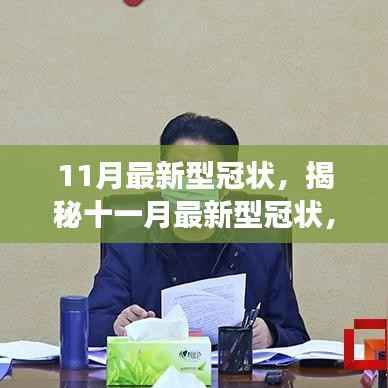 揭秘十一月最新型冠状,科学解读、应对策略与未来展望