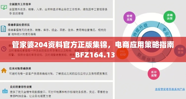 管家婆204资料官方正版集锦,电商应用策略指南_BFZ164.13