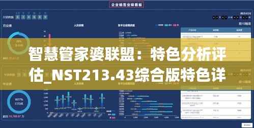 智慧管家婆联盟:特色分析评估_NST213.43综合版特色详解
