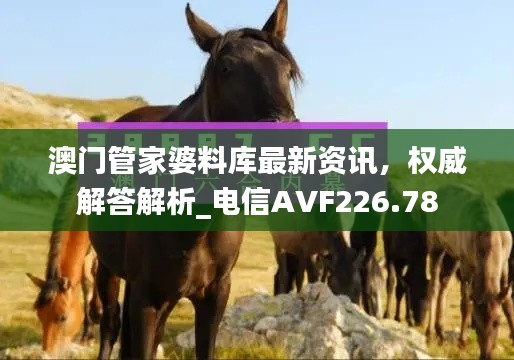 澳门管家婆料库最新资讯,权威解答解析_电信AVF226.78