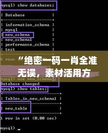 “绝密一码一肖全准无误,素材活用方案详解_自助AUX675.92版”