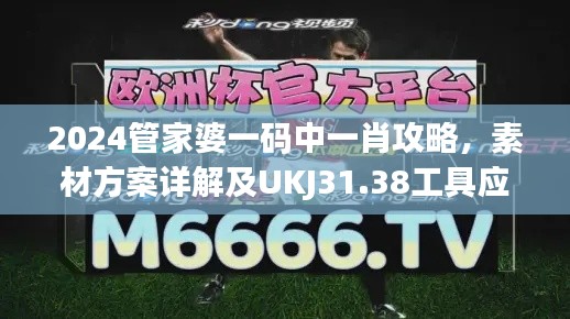 2024管家婆一码中一肖攻略,素材方案详解及UKJ31.38工具应用