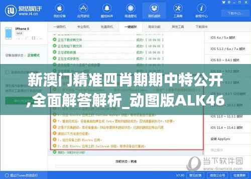 新澳门精准四肖期期中特公开,全面解答解析_动图版ALK463.12