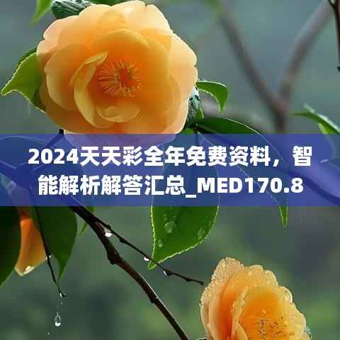 2024天天彩全年免费资料,智能解析解答汇总_MED170.88版