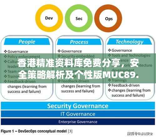 香港精准资料库免费分享,安全策略解析及个性版MUC89.16攻略
