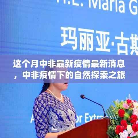 走马观花 第28页