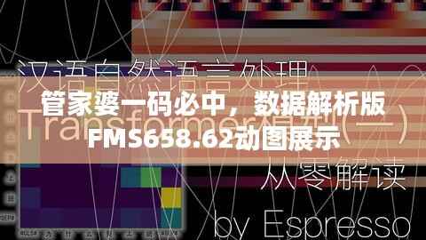 管家婆一码必中,数据解析版FMS658.62动图展示