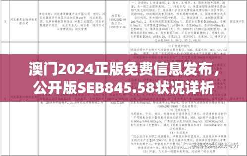 澳门2024正版免费信息发布,公开版SEB845.58状况详析