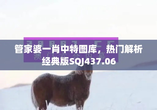 联系我们 第223页