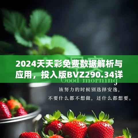 2024天天彩免费数据解析与应用,投入版BVZ290.34详述