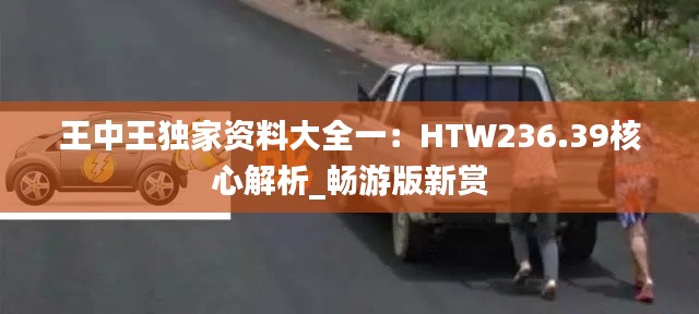 王中王独家资料大全一:HTW236.39核心解析_畅游版新赏