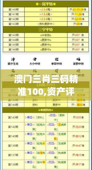 澳门三肖三码精准100,资产评估_破虚RCQ28.98