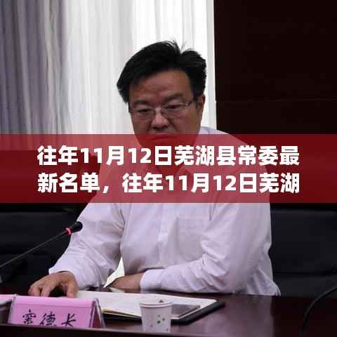往年11月12日芜湖县常委最新名单详解,深度评测与介绍