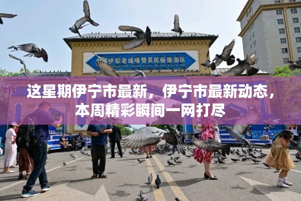 本周伊宁市最新动态全景呈现,精彩瞬间一网打尽