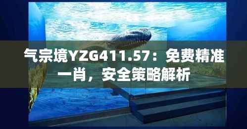 气宗境YZG411.57:免费精准一肖,安全策略解析