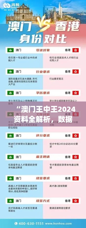“澳门王中王2024资料全解析,数据详实保障_帝之境HYD242.32”