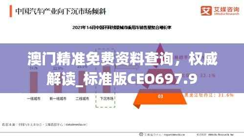澳门精准免费资料查询,权威解读_标准版CEO697.9