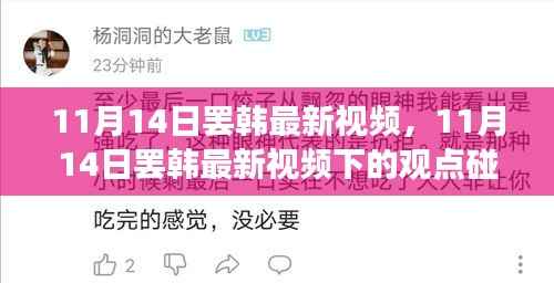 11月14日罢韩最新视频,观点碰撞与个人立场探讨