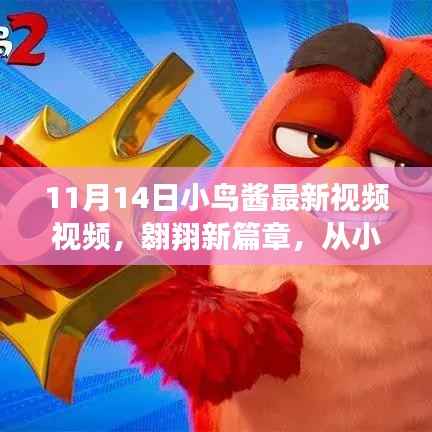 小鸟酱翱翔新篇章，学习变化的力量揭秘视频首曝