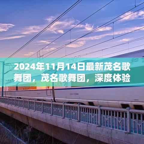 茂名歌舞团深度体验与专业评测,最新动态(2024年11月14日)