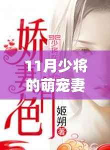 萌宠少将的甜蜜时光,温馨日常的最新章节探索