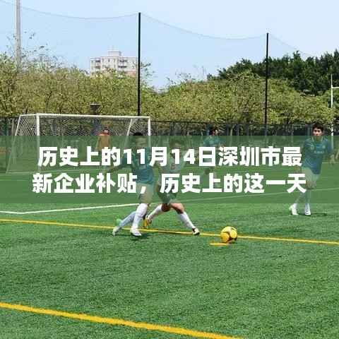 历史上的11月14日深圳市新企业补贴政策回顾,影响与展望