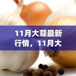 11月大蒜行情全面解析,市场动态掌握与应对策略