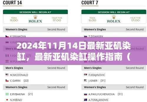 最新亚矶染缸操作指南,初学者与进阶用户适用指南(2024年11月版)