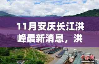 安庆长江洪峰过境,温馨日常与深厚友情的见证