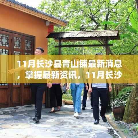 长沙县青山铺最新资讯与动态指南,掌握十一月最新消息