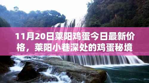 莱阳鸡蛋最新价格揭秘,小巷深处的特色小店与鸡蛋秘境探索