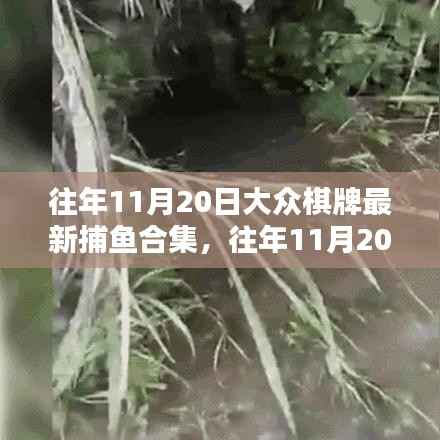 往年11月20日大众棋牌捕鱼盛宴，最新合集与攻略一网打尽！
