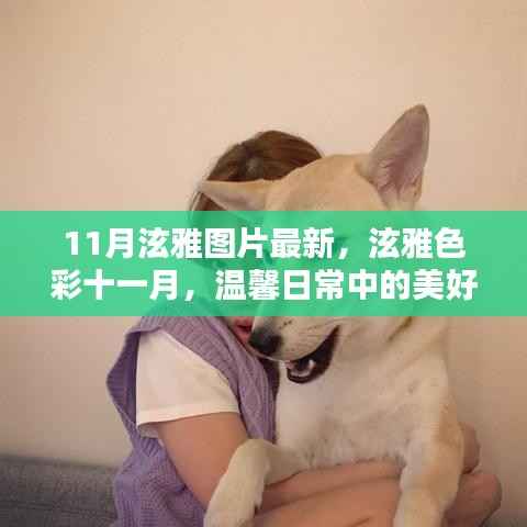11月泫雅最新图片,色彩中的温馨日常美好瞬间