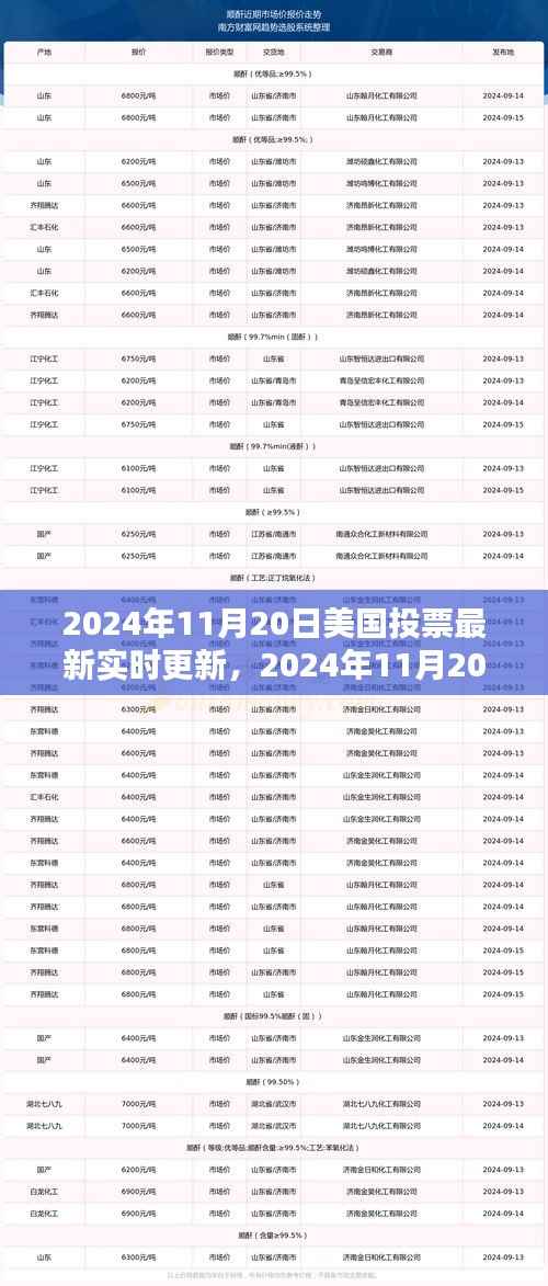 美国大选最新动态,实时投票更新与指南,针对初学者与进阶用户