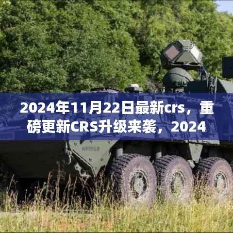 重磅更新CRS升级来袭,解读最新政策与应对策略,2024年CRS新动向解析
