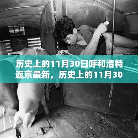历史上的11月30日,呼和浩特至北京行程的最新指南及返京动态更新