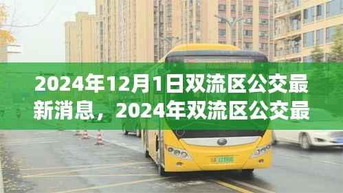 2024年双流区公交最新消息详解,获取与使用公交服务的全面指南