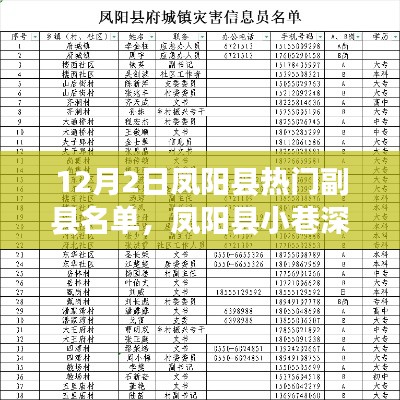 凤阳县副县名单揭秘,小巷深处的特色小店与热门人物盘点