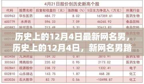 历史上的12月4日,新网名男的自然之旅与内心平静的奇妙冒险探索之路