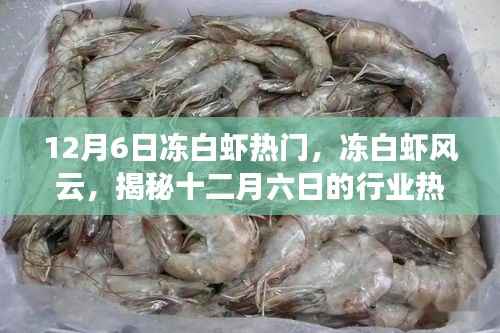 揭秘冻白虾风云,十二月六日的行业热点与深远影响