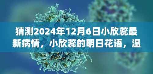 小欣蕊的明日花语,温馨猜想与爱的陪伴,奇迹时刻的奇迹展望(最新病情猜想)