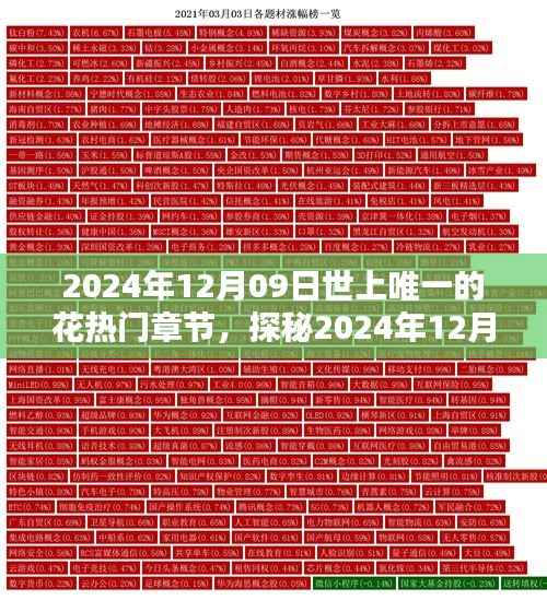 探秘世上唯一的花,揭秘热门章节三大要点(日期,2024年12月09日)