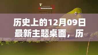 历史上的12月09日主题桌面全面评测与介绍