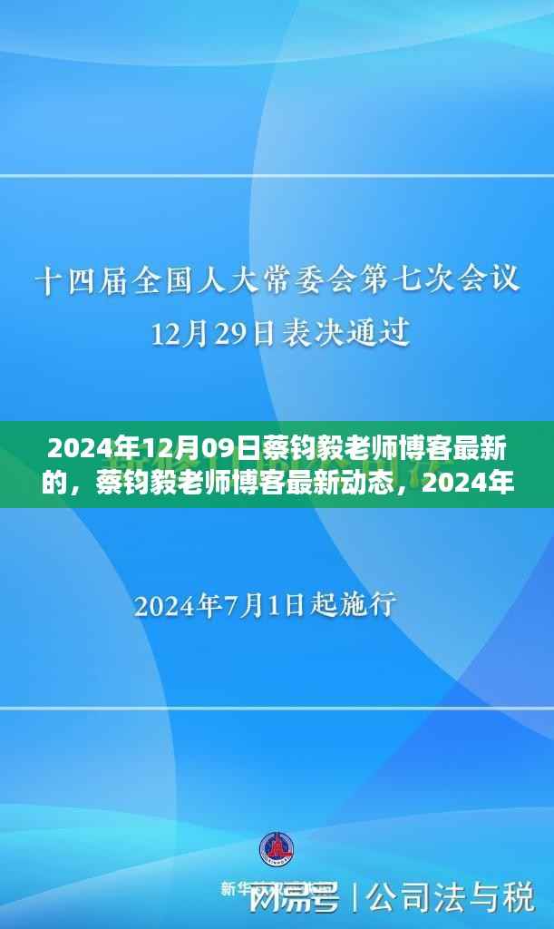 蔡钧毅老师博客最新动态,深度探讨文章发布于2024年12月09日