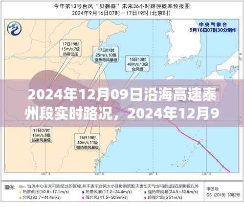 沿海高速泰州段实时路况分析与观点分享,拥堵状况下的多方视角